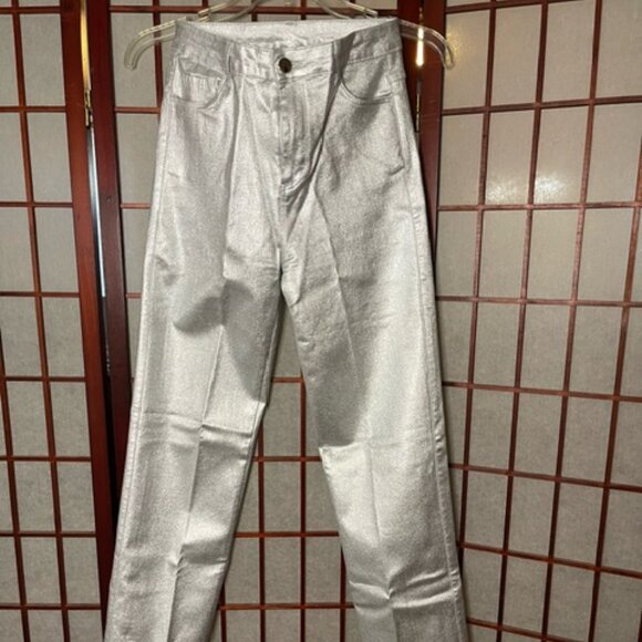 Pants - Silver Metalic Pants